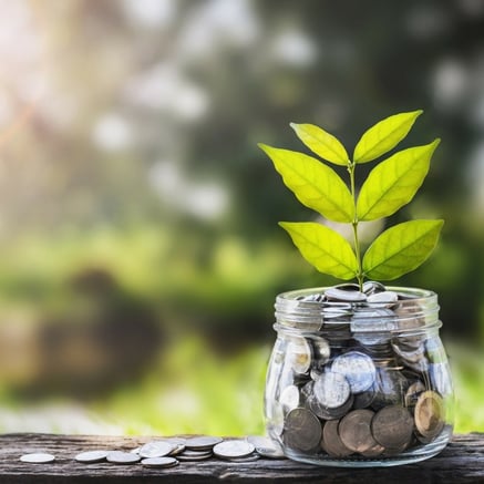 Social Star, personal branding, Side hustle: a practicle guide to starting a new business